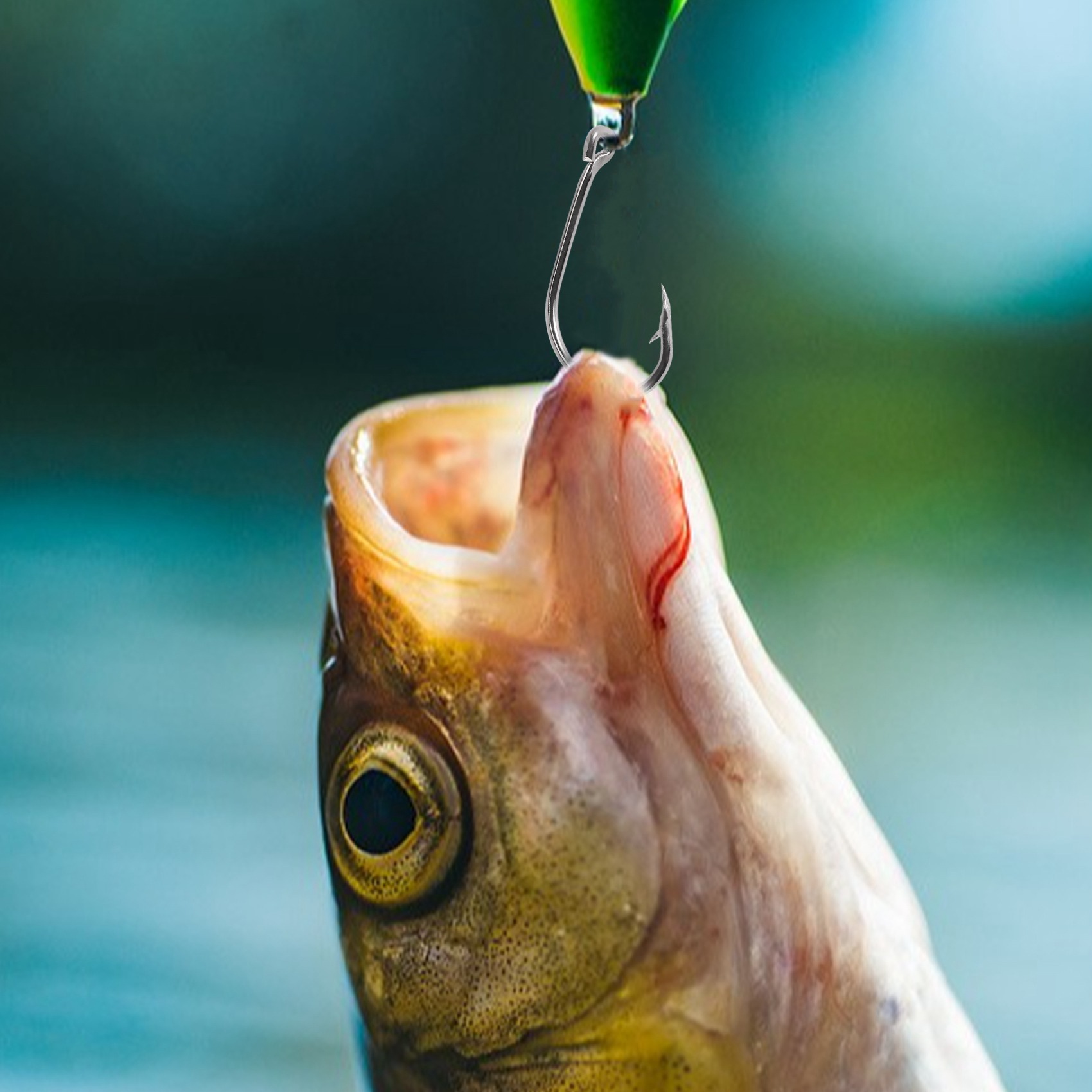 Nouveauté  500 pièces/ensemble - Fishing Hook Box avis et prix