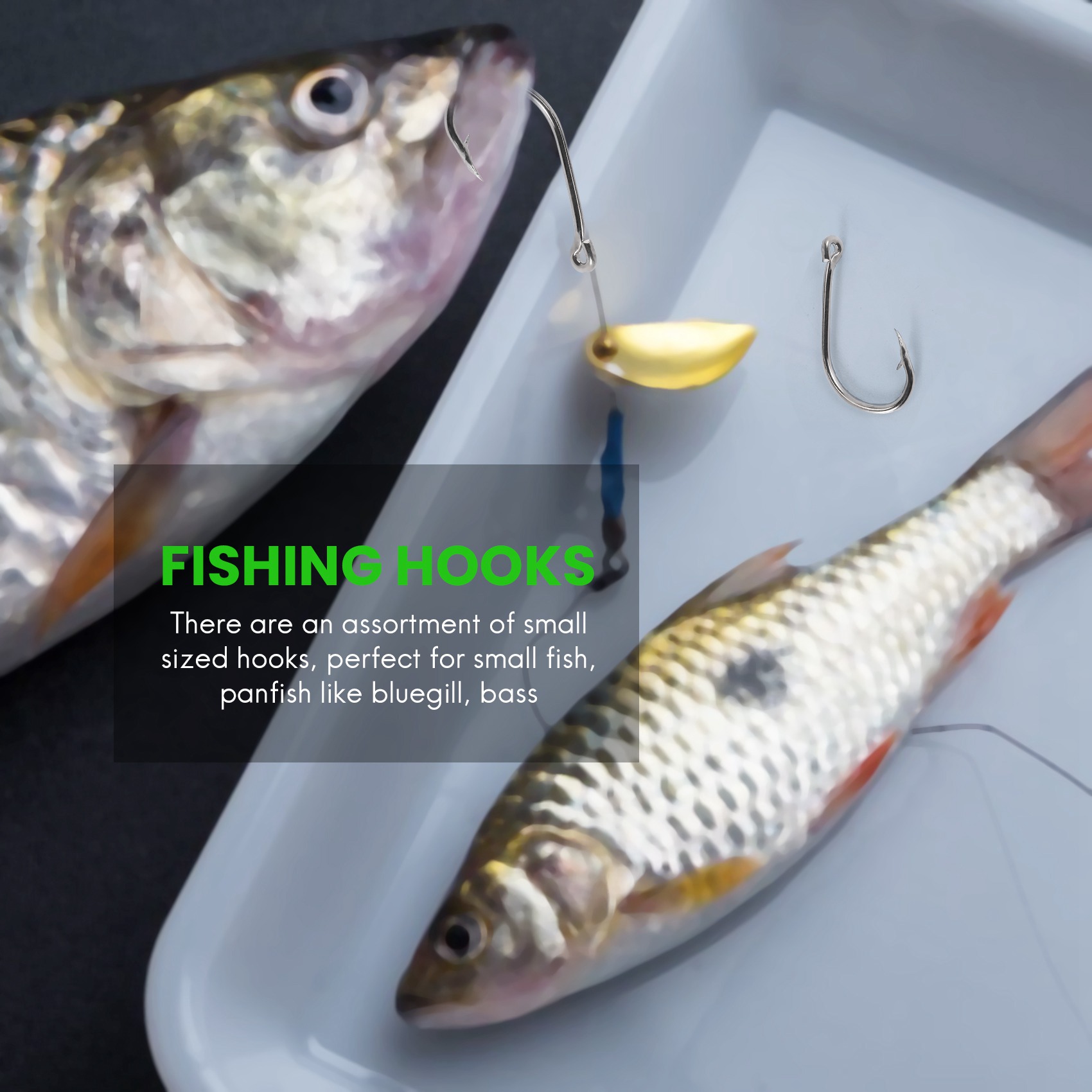 Nouveauté  500 pièces/ensemble - Fishing Hook Box avis et prix